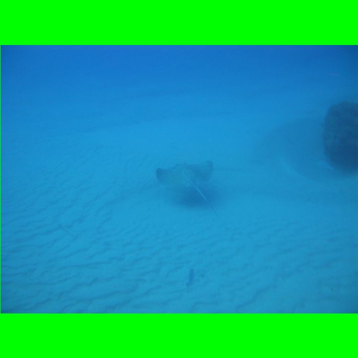Dive WP Wrecks 25-Oct-09_346.JPG